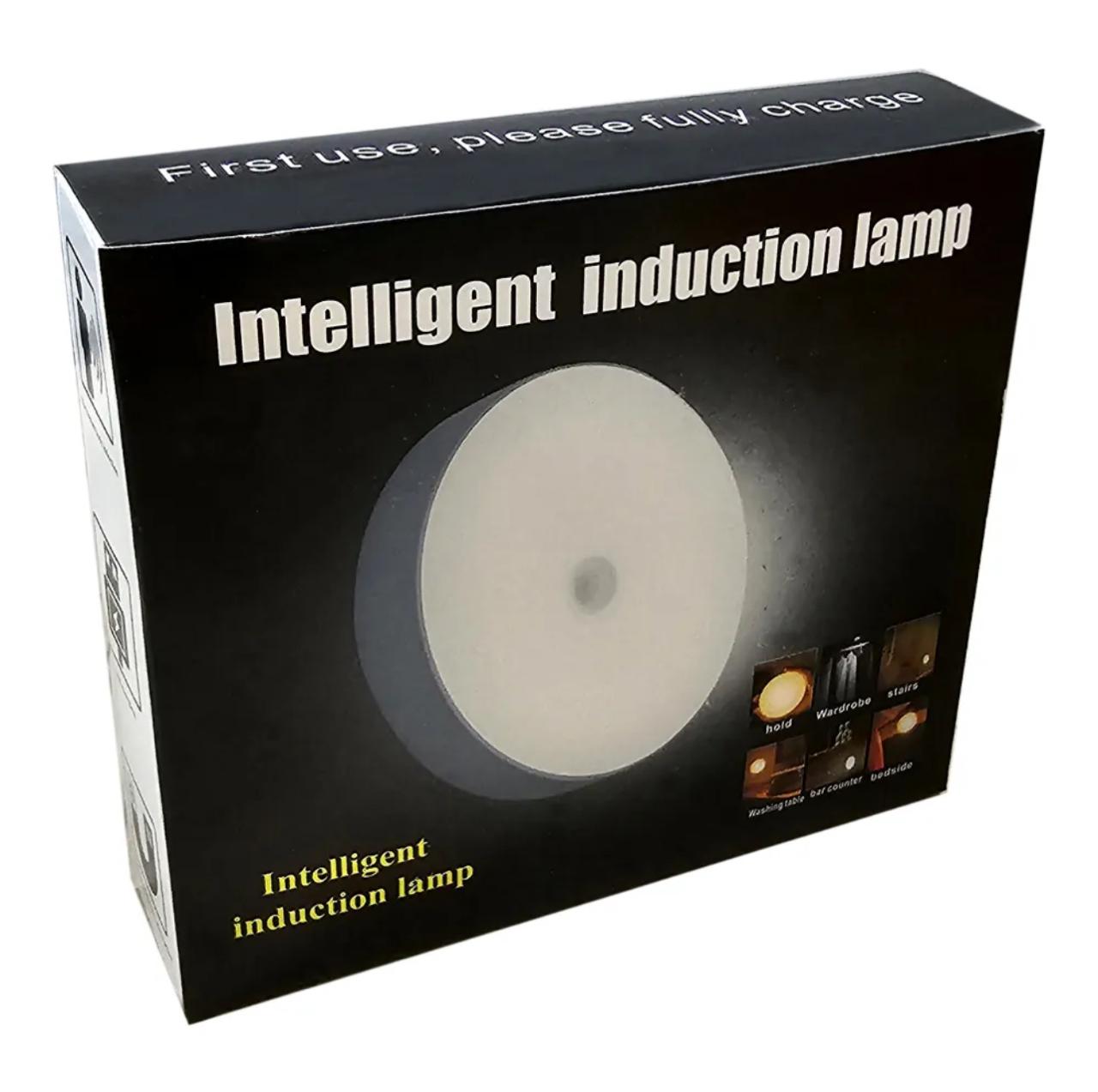 Intelligent Induction Lamp